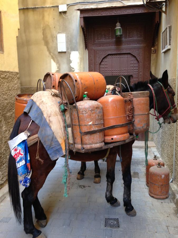 Riad Blanc De Fez Exterior photo